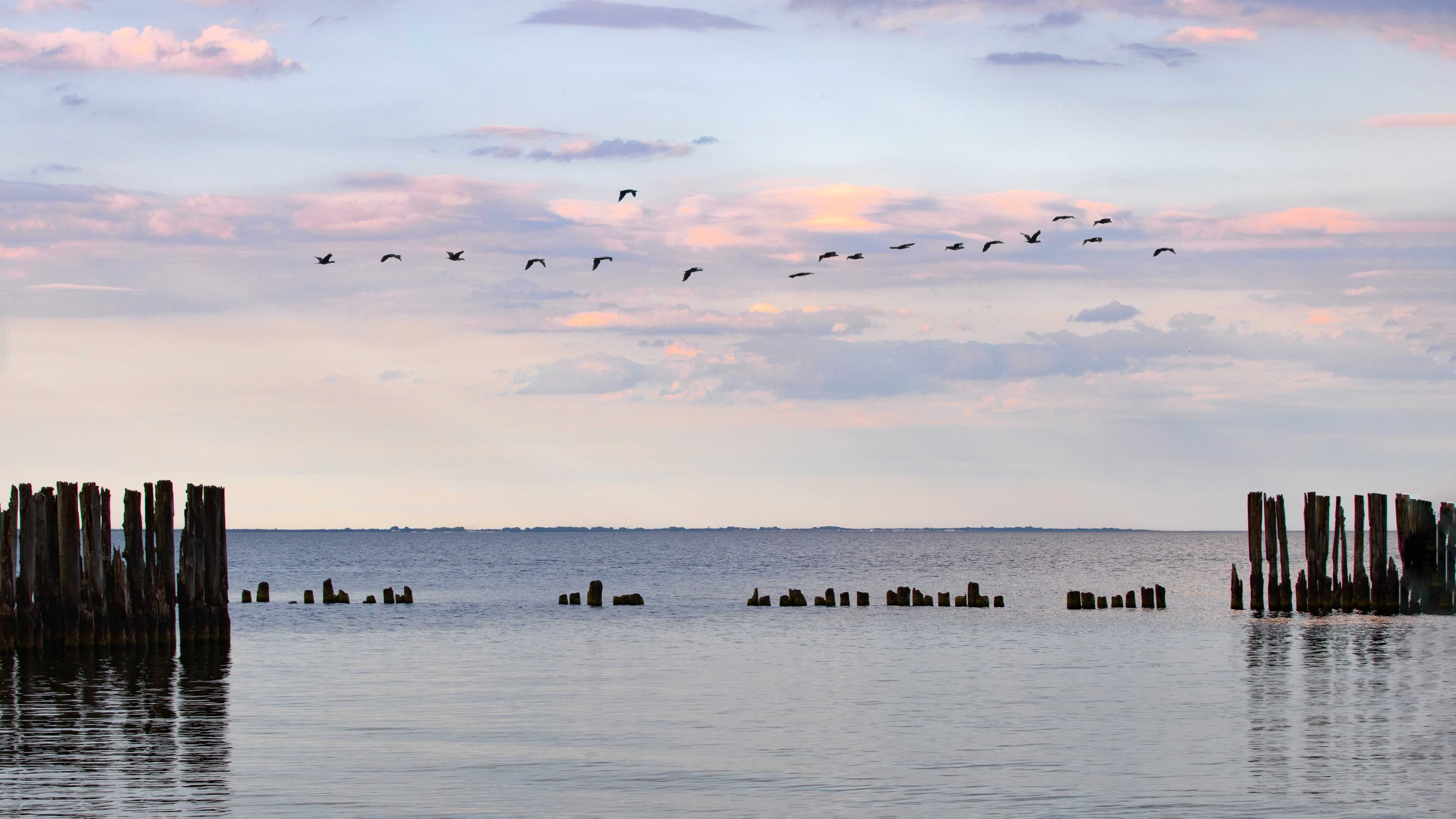 Landscape & Seascape 13